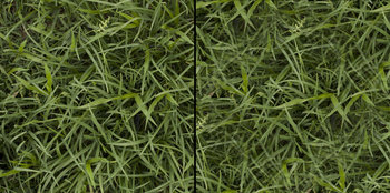 Tileable grass comparison